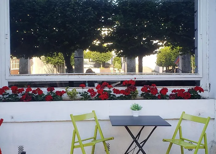 Enzo * Контрексвиль